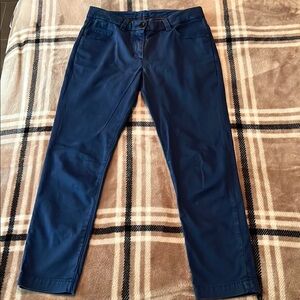 Brunello Cucinelli Blue Skinny Pants